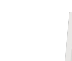 A1